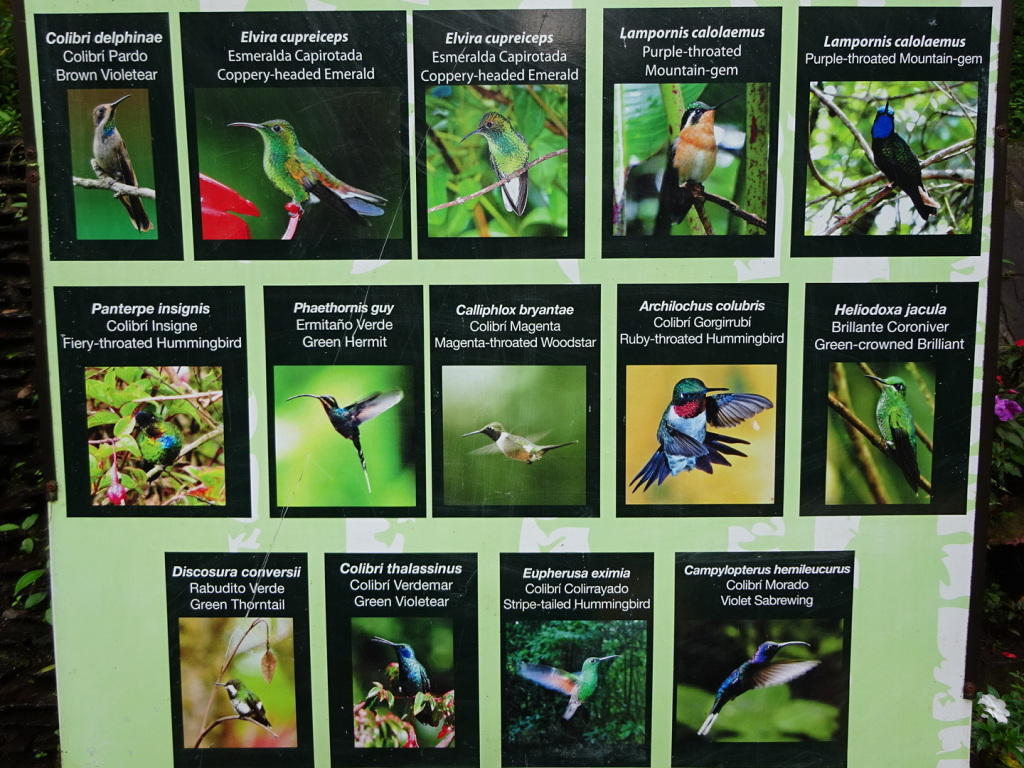 Sign with all the different kinds of hummingbirds int he garden.  