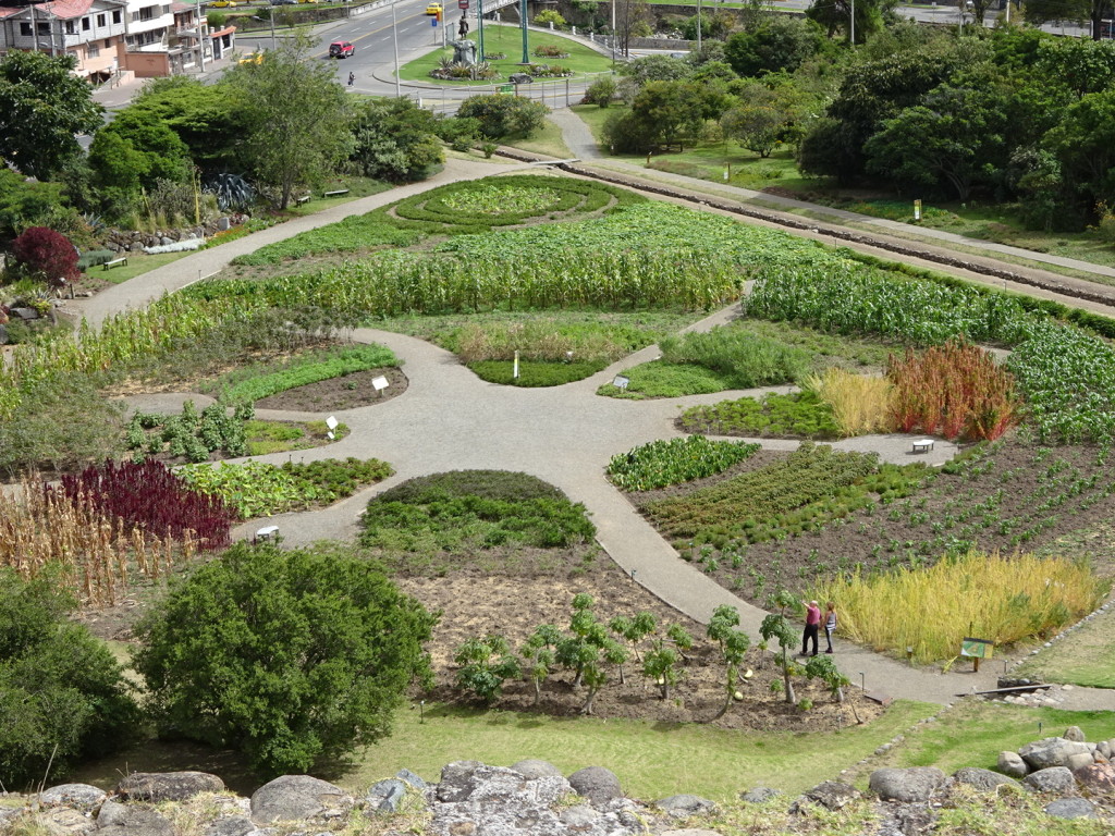 Check out this garden outside the Puma Pongo Museum. It's the fanciest P-Patch I've ever seen.