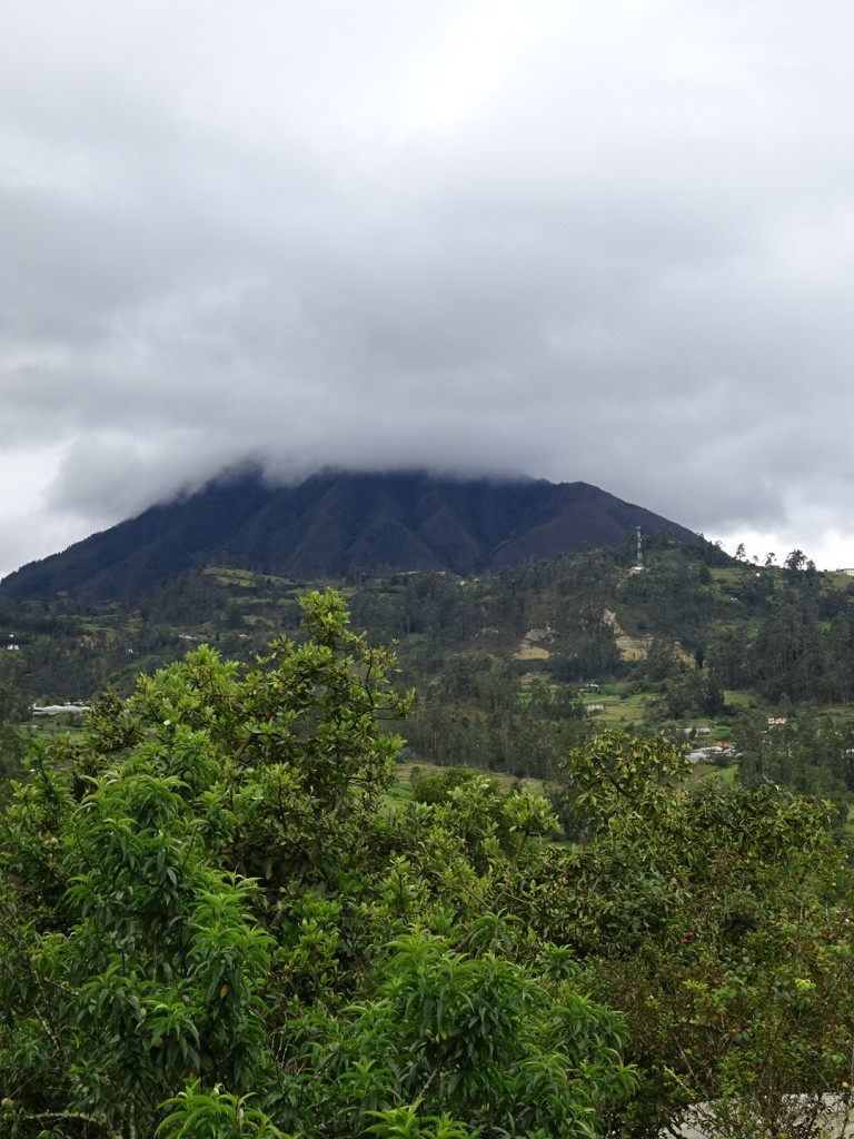 The view from the front of the house. It changed all day as the clouds came and went and the sun peaked out.