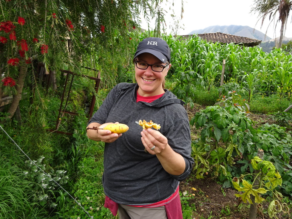 Maria introduced us to yet another fruit where you crack it open and eat the seeds....and, again, it was delicious!