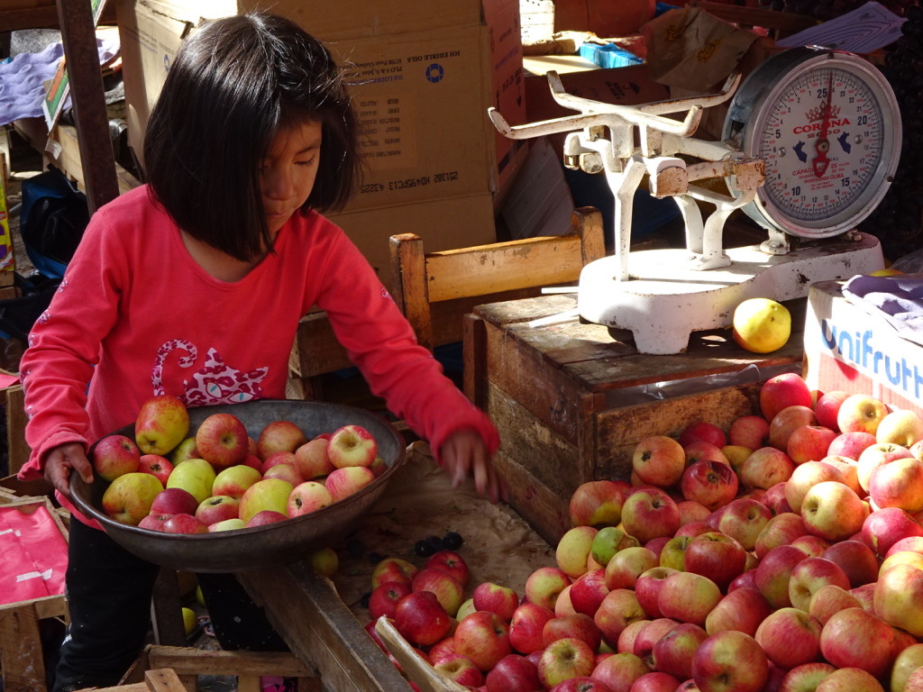 Just loved watching this little girl weigh the apples. Schools on break so hopefuly most of the kiddos go back to school in a couple of weeks.