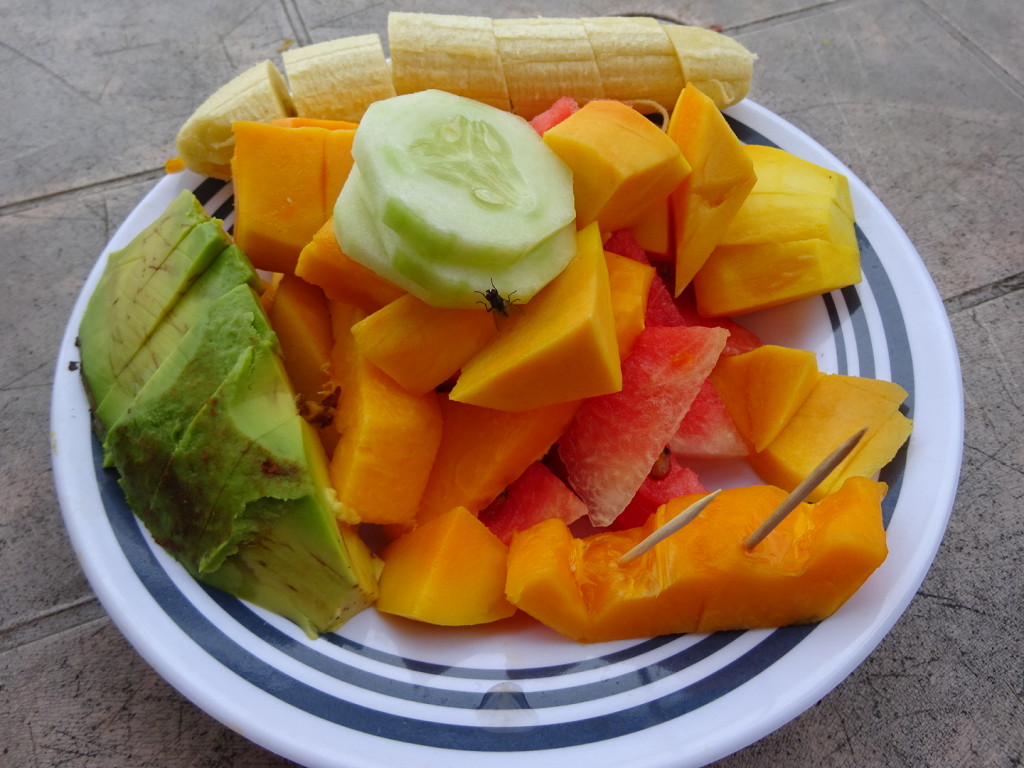 Most days we would mae our way to the shack to get a plate of veggies and fruits fro about $0.70. Flys are free.