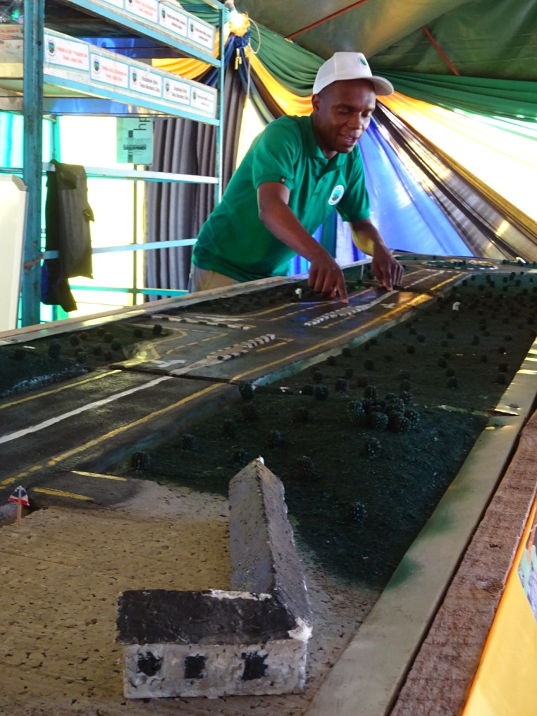 Roads! This is the DOT tent at the Environmental Fair.  See their model of the new paved road that will run from Mabasa Kenya to Dar?