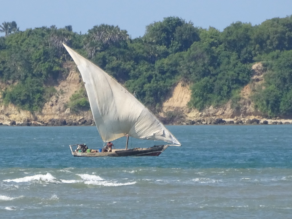 A dhow similar to the one we used...but this one is bigger.