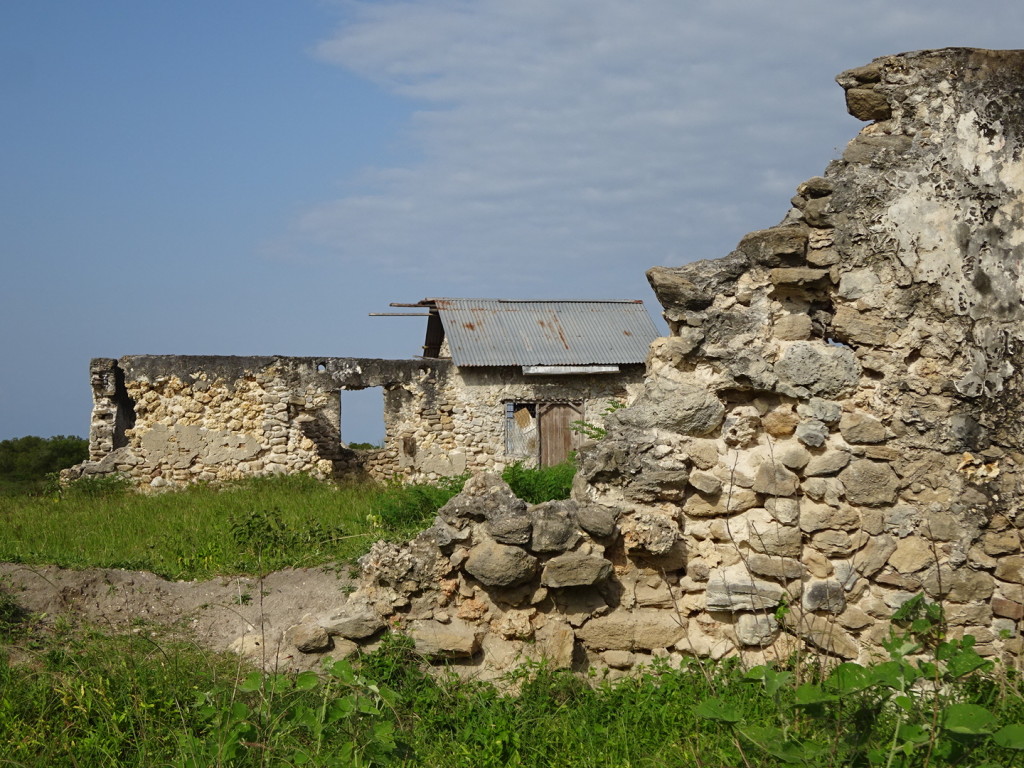 Ruins outside our bandi in Saadani. These were part of the slave trade. Seems every ruin in Eastern Tanzania and Zanzibar is related to the slave trade.