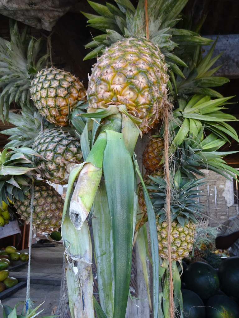 Fresh cut pineapple (with their stocks still attached) hanging in a fruit stall.
