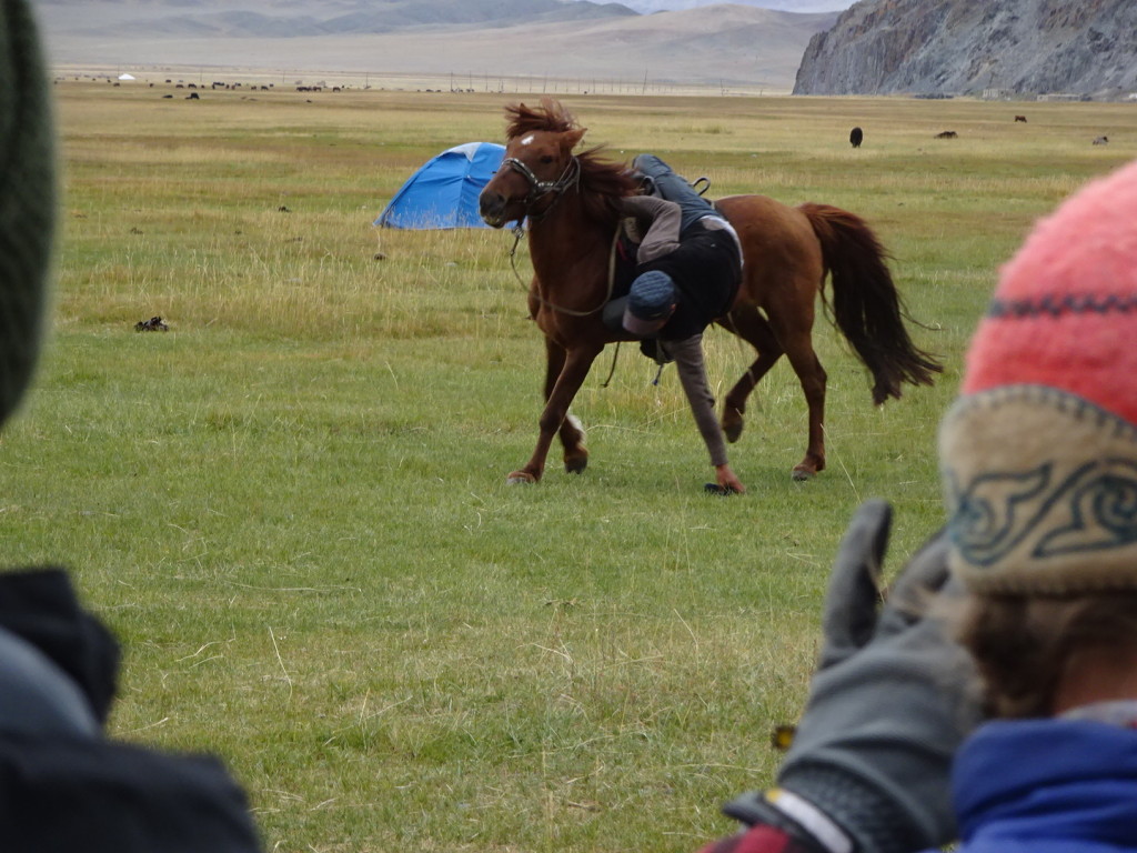 Yes, that is one of our wranglers, Erlan, reaching down from his saddle to pick up a whip lying on the ground! Amazing!