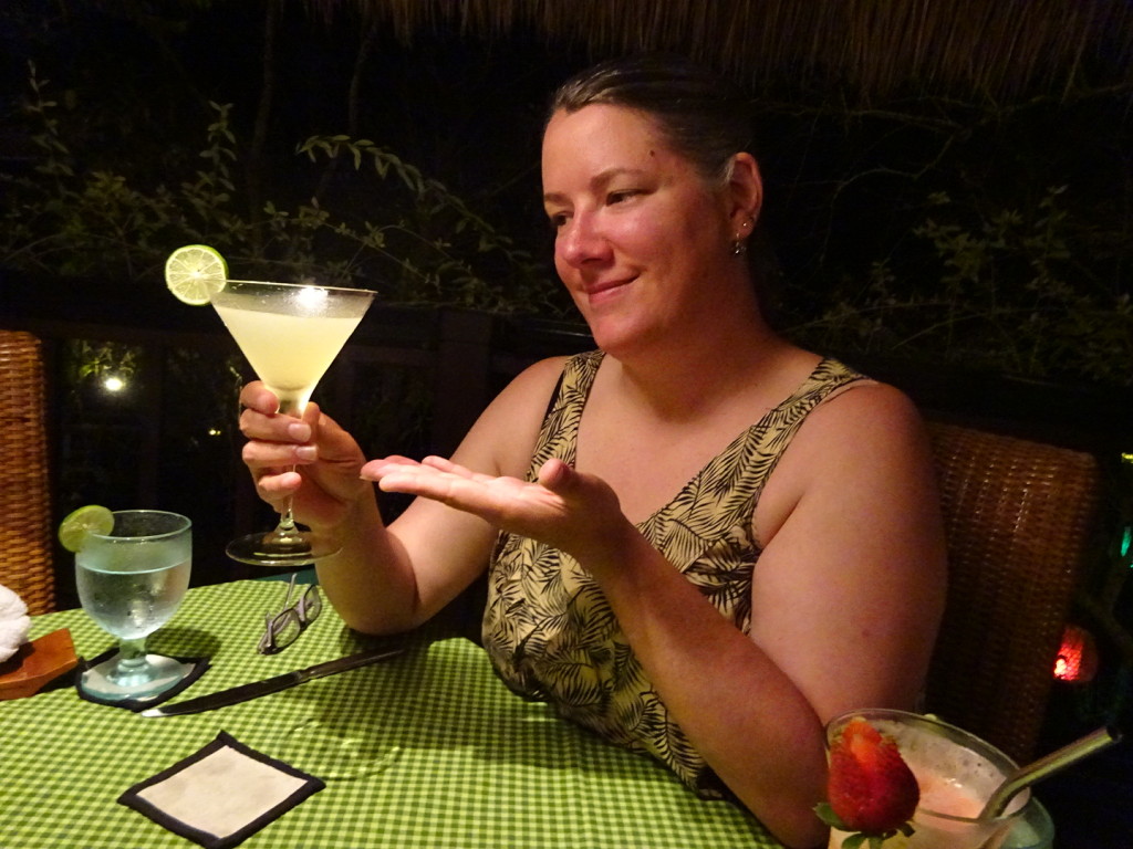 They call this one the Bee's Knees: gin, limoncello, lime juice and honey. Anner loved it!