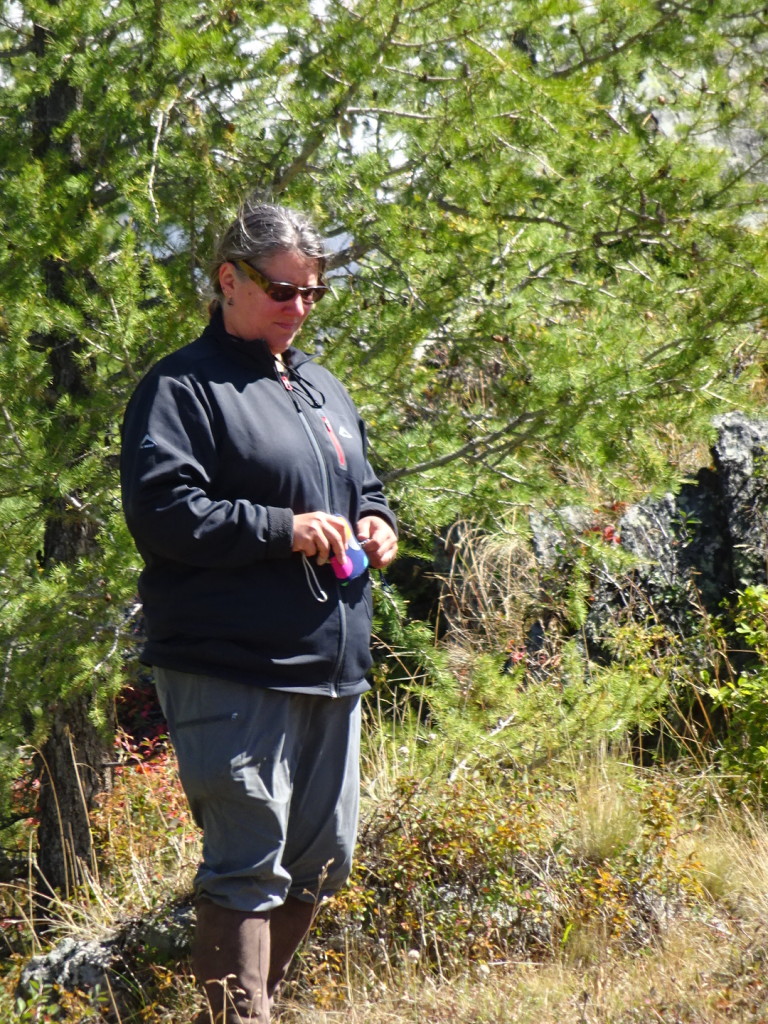 You probably can't tell that hiking up and down a mountain through all these trees and through a stream wasn't a happy experience for me. I hide it so well, don't you think?