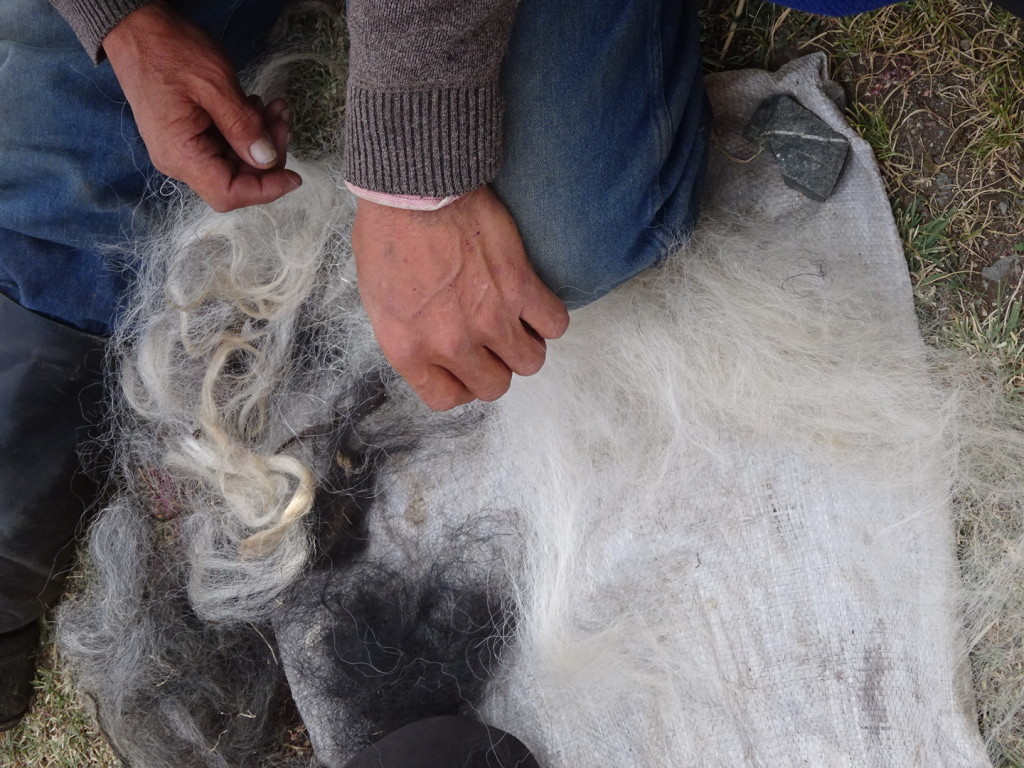 First you have to take the yak hair and separate the strands a bit, cleaning it if needed.