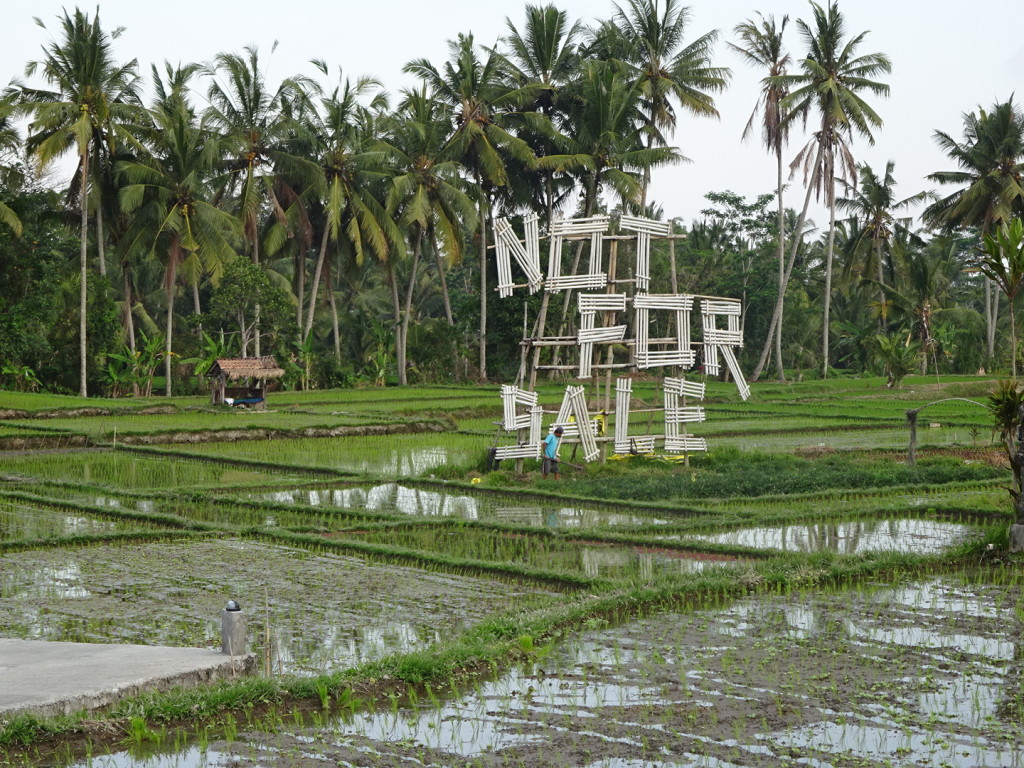 After Eat, Pray, Love rice patties started getting bought up for commerce. Some folks, understandably, see a danger in this. Still, directly accross the road was the rice patty was for sale. It was easy to tell it's a controversial issue around Ubud.