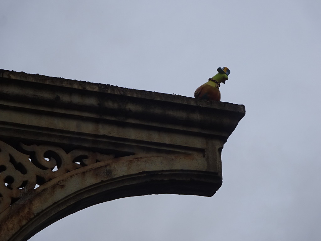 These clay pigeon sculptures started appearing when London hosted the Olympics as a take on the real pigeons.