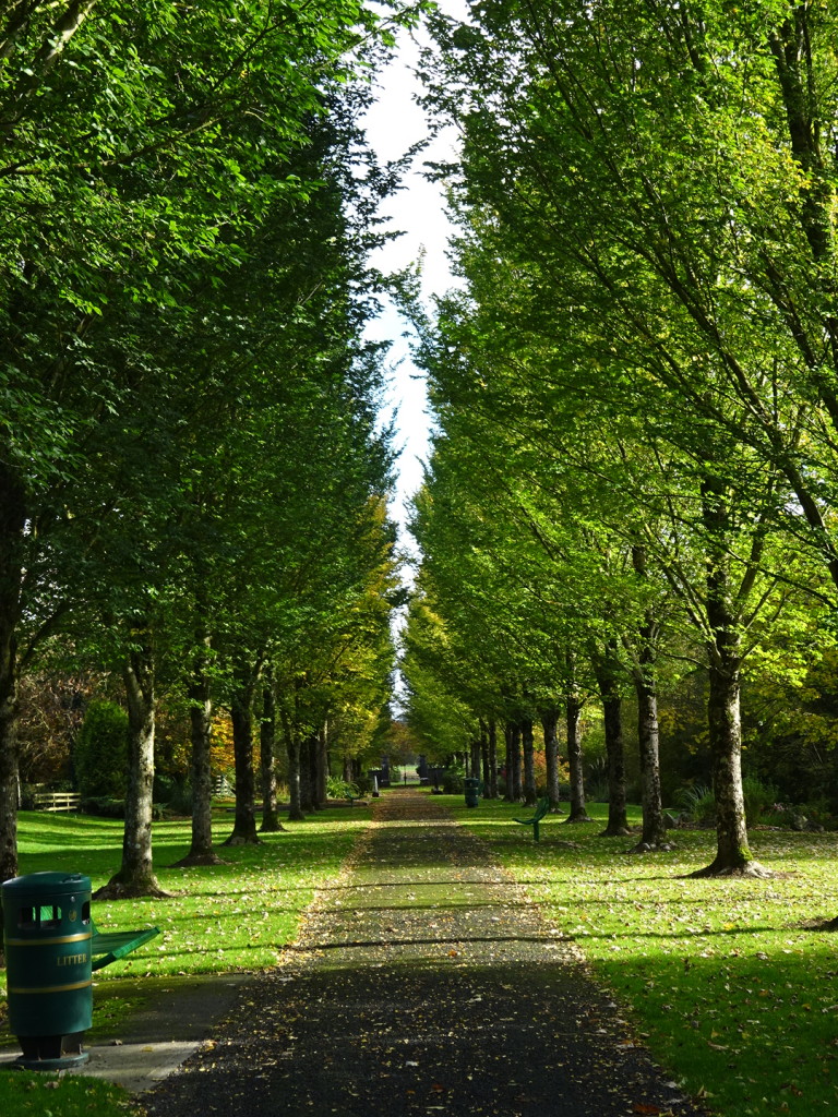 The park in Adare