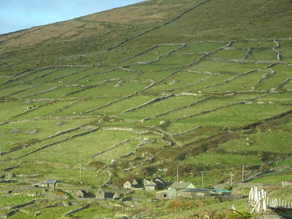 Love the iconic pastures of Ireland. 