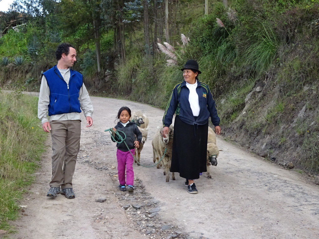 Time to get the sheep! We "helped" our host mom gather the sheep during our home stay in WHERE, Peru.