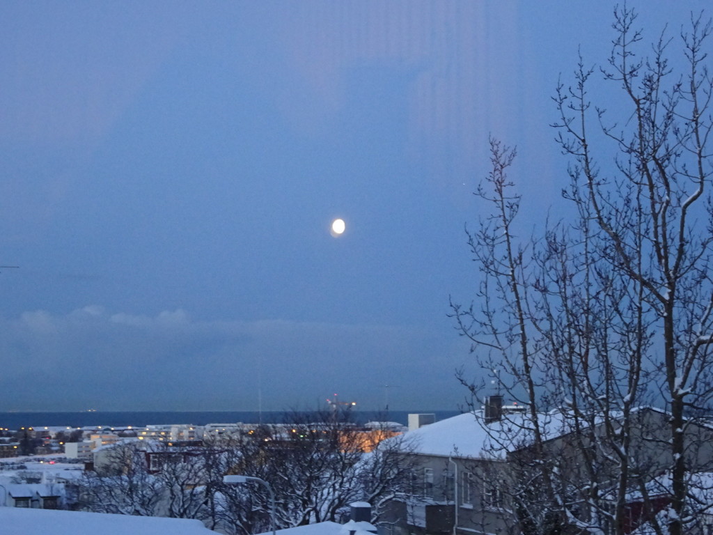 Moon rise in the middle of the day or late in the morning. Sunrise was around 10:00-something.