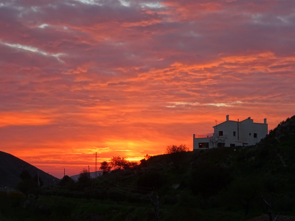 Morning walk with Cheech ...sunrises over the neighbor's house.