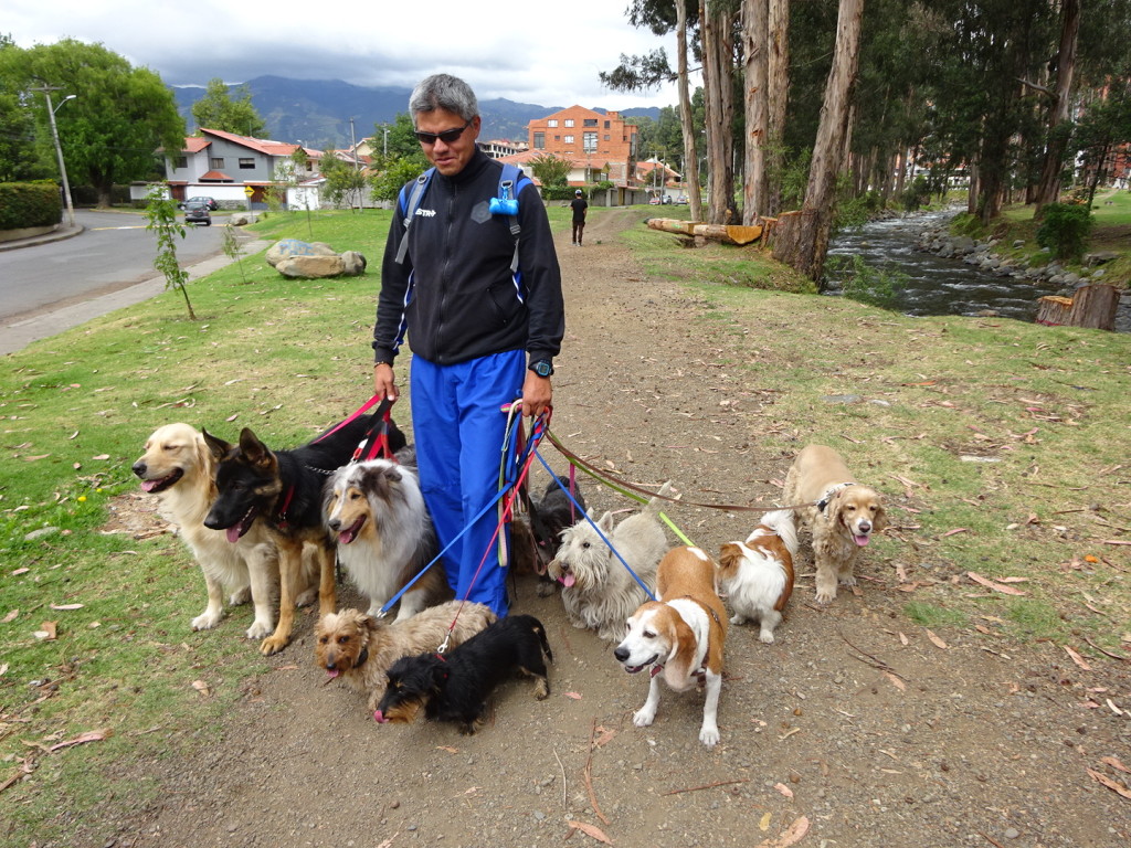 This is the only and only dog walker in Cuenca. He does four seperate runs a day.