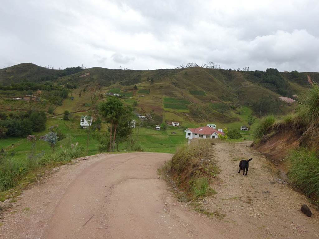 ??, Ecuador. Walking with us on the 2 hour horse trek.