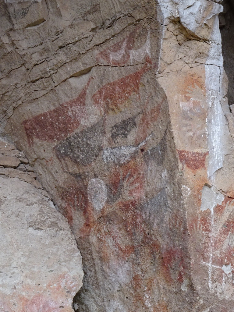 The Ancients painted guanacos on the caves too.