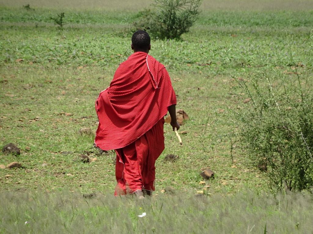 Our Maasai guide takes us on a nature walk.