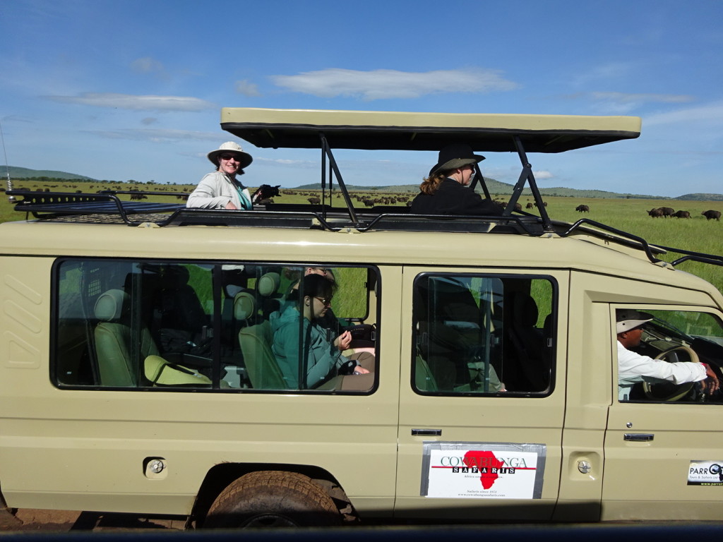 Land Cruisers are re-fitted with raisable roofs for great game-viewing!