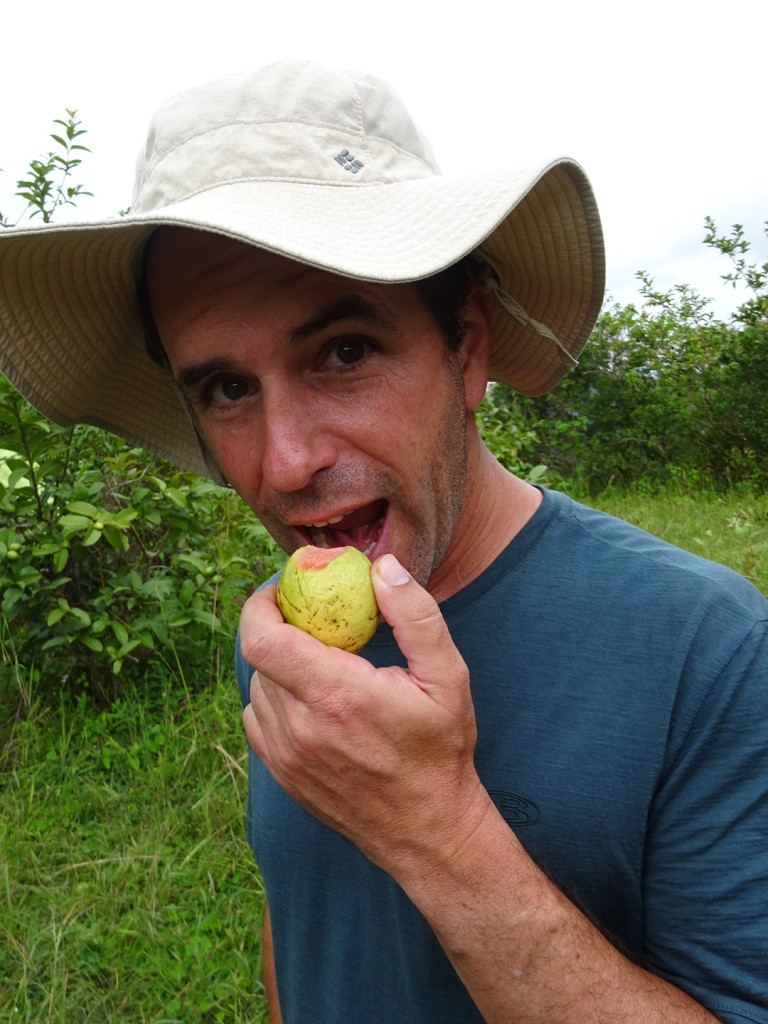 Aaron liked the guava, which was kind of apple-like in texture.