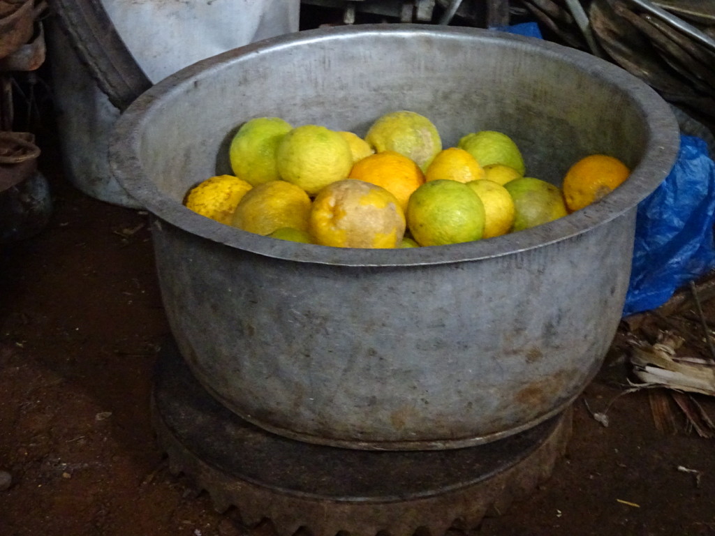 When life gives you lemons...make a homemade pot for them! (These are actually oranges, I think.)