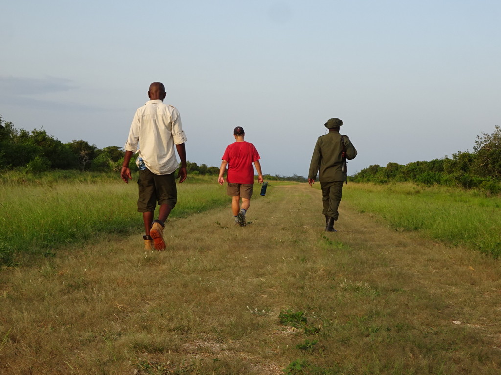 Walking on the airstrip as part of the walking safari.