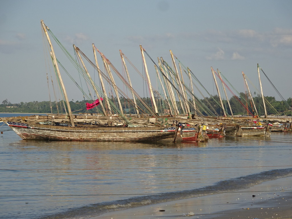 Boats in Bagamoyo. I love how they are lined up.