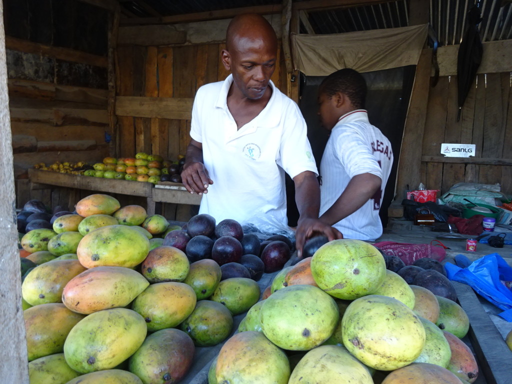 David shopping for mangos...if we were in Tanga we'd get them from the trees behind his house.
