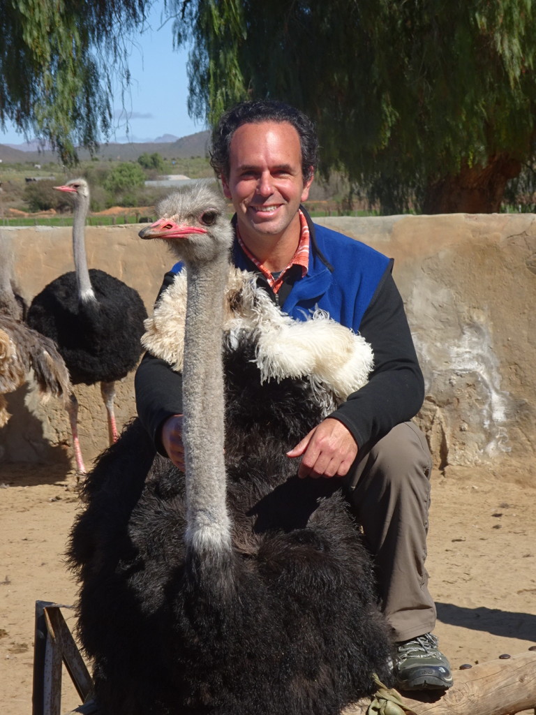 Birthday wishes come true: Aaron gets to sit on the ostrich. The bird was blindfolded just secons before the photo.