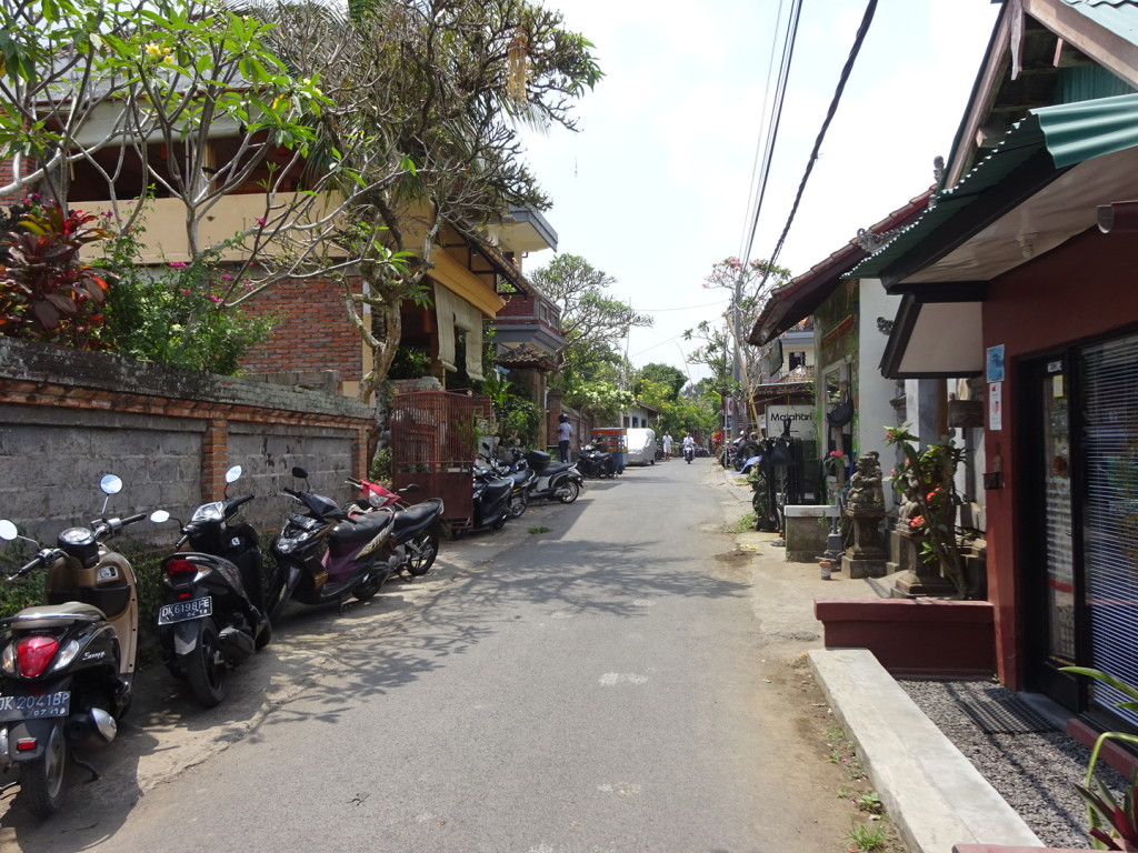 Side street in Ubud. Charming, eh? We had lunch and fruit drinks at a little tiny shop here - for about $4. 