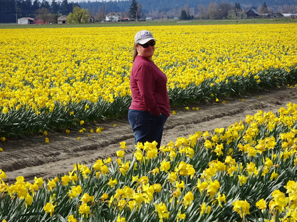 Daffodil-a-rama!